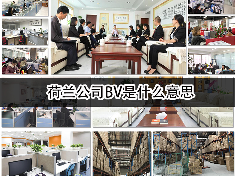 荷蘭公司BV是什么意思
