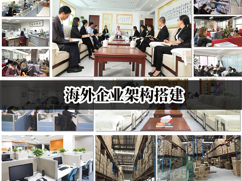 海外企業(yè)架構(gòu)搭建