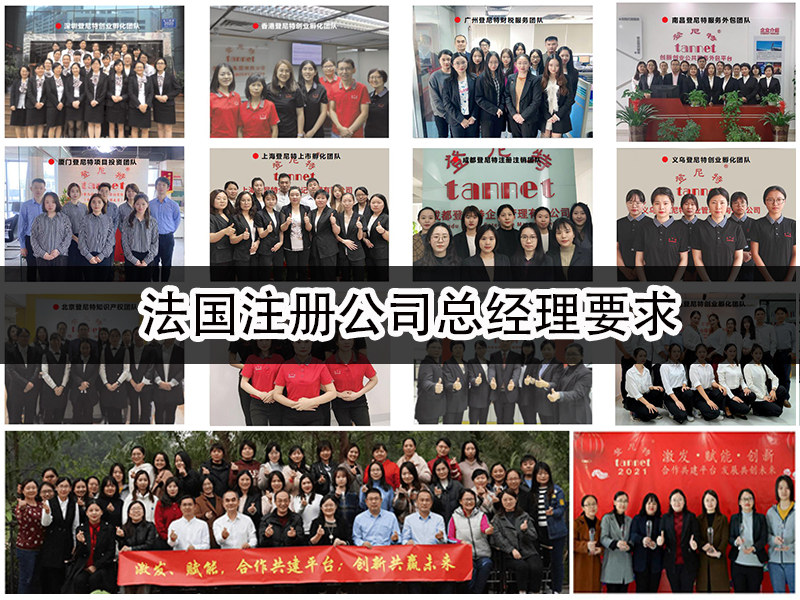 法國(guó)注冊(cè)公司總經(jīng)理要求